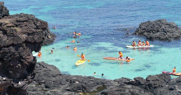 KHÁM PHÁ NƠI ” DETOX TÂM HỒN” HOT NHẤT MÙA HÈ, GIỚI TRẺ ĐẠO CHƠI ĐỂ SỐNG ẢO GIỮA ĐẢO XANH RỪNG.