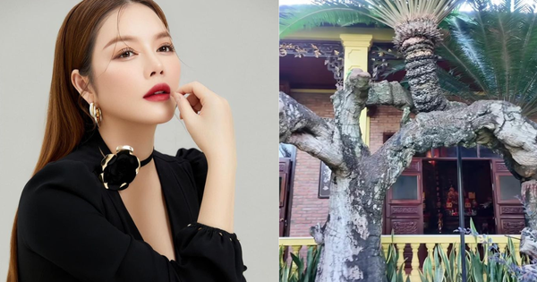 CẢNH VƯỜN CỦA LÝ NHÃ KỲ CHOÁNG NGỢT VỚI LOÀI CÂY HÙNG VĨ ĐẾN KINH NGAC!