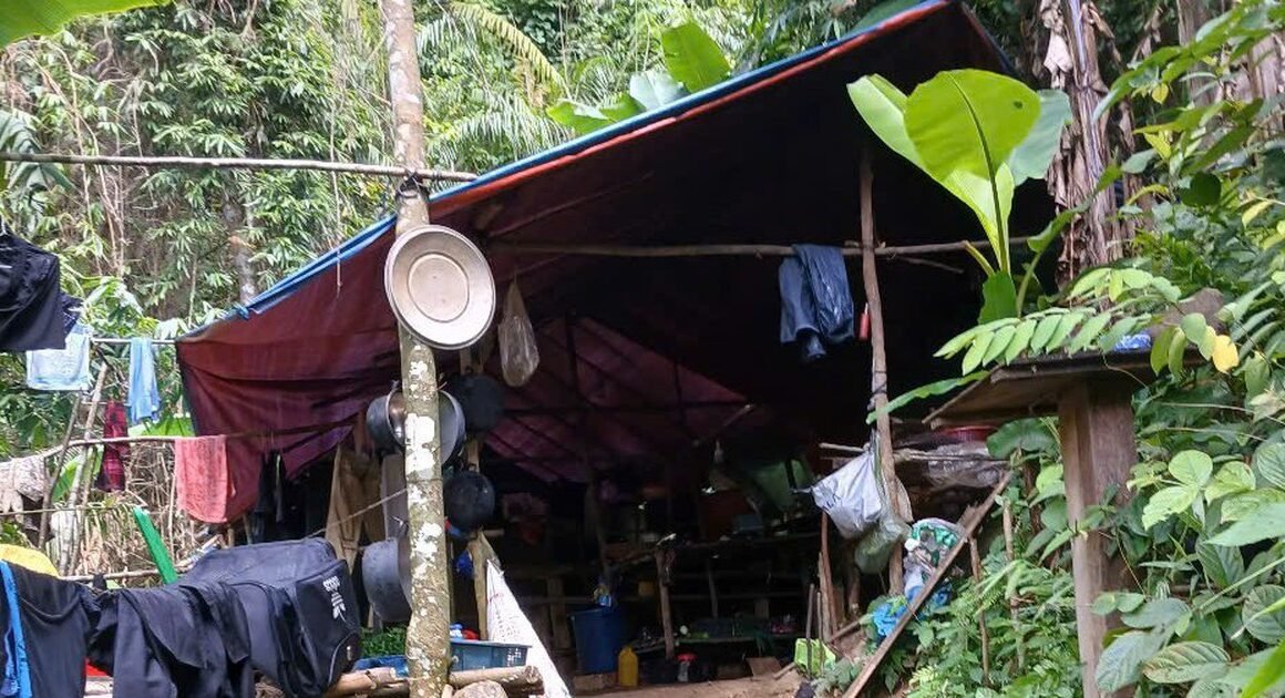 KHẨN: QUẢNG TRỊ CHUẨN BỊ ĐÁNH SẬP CÁC HẦM LÒ VÀNG TRÁI PHÉP TRÊN DIỆN TÍCH CỰC KỲ PHỨC TẠP!