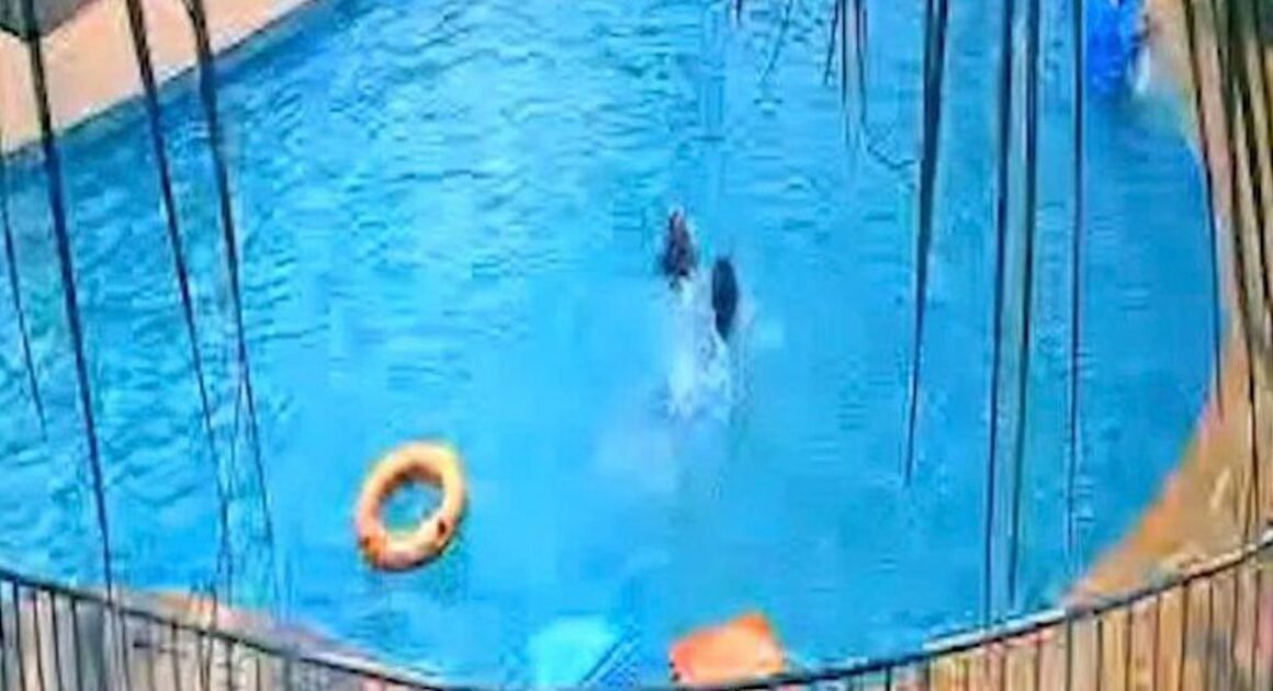 BÉ GÁI 7 TUỔI CHẾT ĐUỐI TRONG HỒ BƠI TƯ NHÂN TẠI ĐỒNG NAI: SỰ THẬT ĐANG BỊ CHE GIẤU?