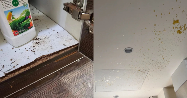 KHÁM PHÁ BÍ QUYẾT ĐỂ BIẾN NGÔI BẾP CỦA BẠN THÀNH CHIẾC ĐẦU TƯ XỨNG ĐÁNG!