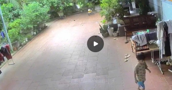 SỰ VIỆC KHIẾN GIA ĐÌNH KHẢI GẦN NGƯỠNG BÀO HOÀN TÀN KHI CHÁU BÉ VÀ CHỊ GÁI 9 TUỔI TRONG MỘT CHUYẾN HÁI NHÃN!