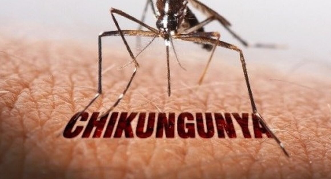 KHÁM PHÁ BỆNH CHIKUNGUNYA TỪNG LƯU HÀNH TẠI VIỆT NAM VÀ THUỐC CHƯA CÓ GÌ ĐANG ĐẾN GẦN BẠN!