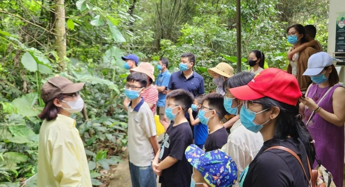 CẨN TRỌNG VỚI NGUY HIỂM RỪNG CÚC PHƯƠNG: KHÔNG DÁM TỰ Ý ĐIỀU NÀY KHI KHÔNG CÓ HƯỚNG DẪN!
