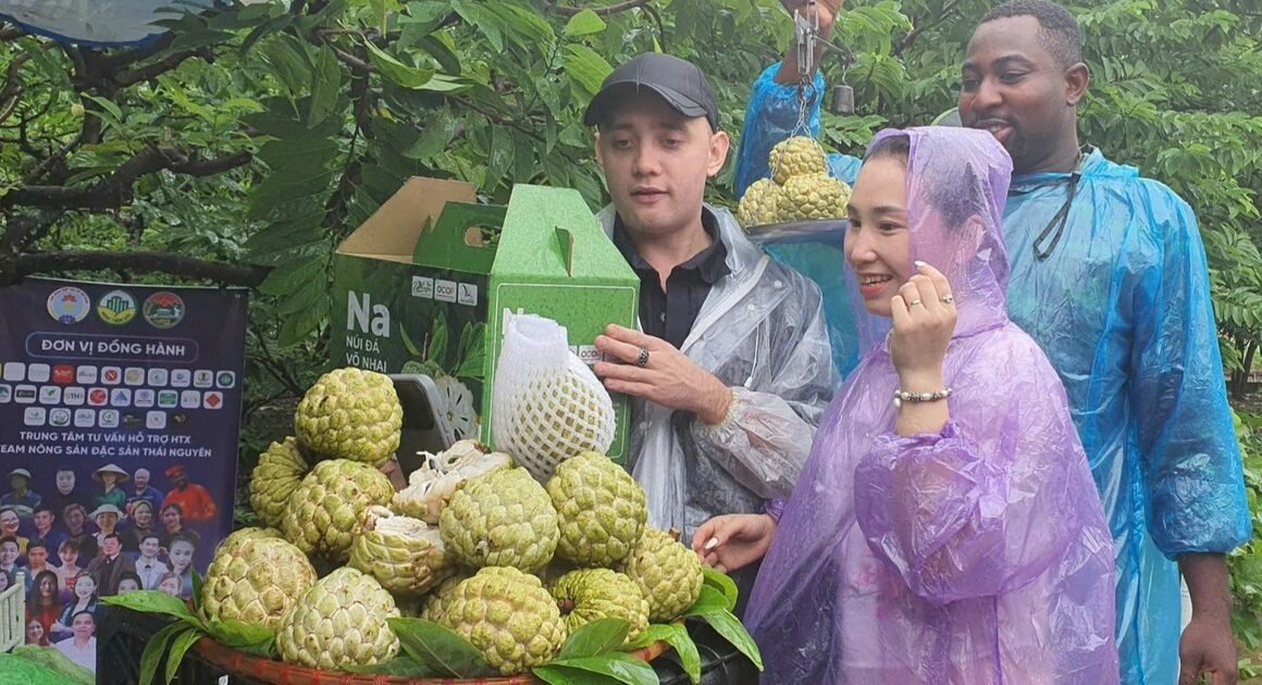 ĐẠI SỨ NÔNG SẢN PHẢI ĐƯỢC ĐỊA PHƯƠNG CÔNG NHẬN, KHÔNG PHẢI TỰ PHONG NHƯ TIKTOKER PHẠM THOẠI!