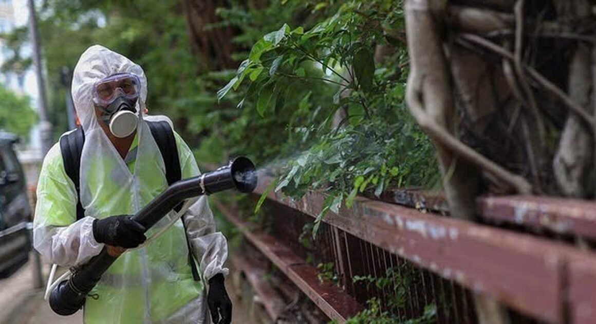 KHÁI NIỆM CHIKUNGUNYA: CẬN NHẬN NGHỀ NGHIỆP VÀ DẤU HIỆU BẤT NGỜ Ở VIỆT NAM!