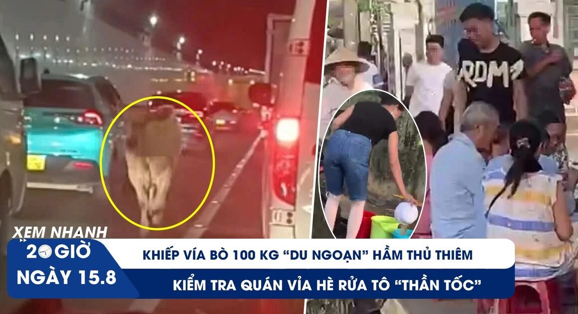 KHÁM PHÁ NHỮNG DẤU MẨU ĐÁNG CHÚ Ý TRONG BẤT NGỜ TẠI TP.HCM NGAY TRONG CHIỀU NAY!