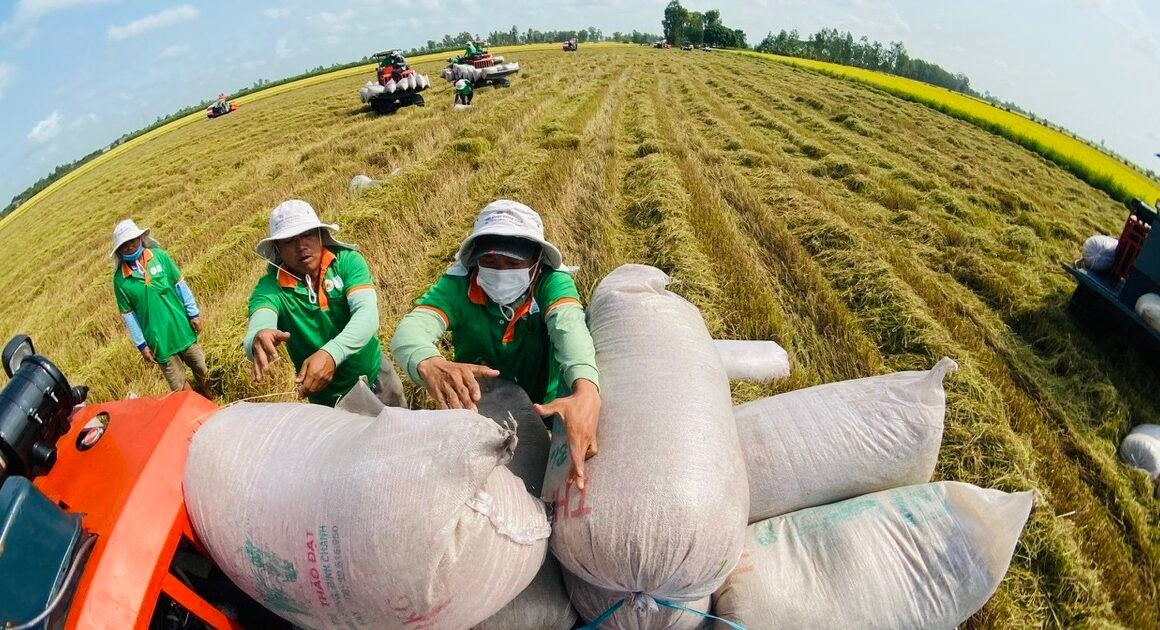 LÊN ÁN LỆNH CẤM GẠO, VIỆT NAM KIẾN NGHỊ PHILIPPINES CẬN CHẾ GIAO THƯƠNG!