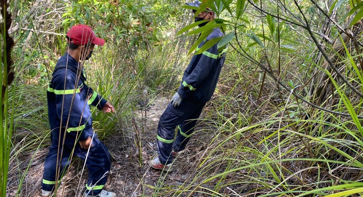 DÂN CHÚNG CHUỐI MÈO TRƯỚC BÀI TOÁN TỪNG GÂY SỐC SAU 6 NGÀY TÌM KIẾM TẠI NÚI HOÀNG NGƯỪU SƠN