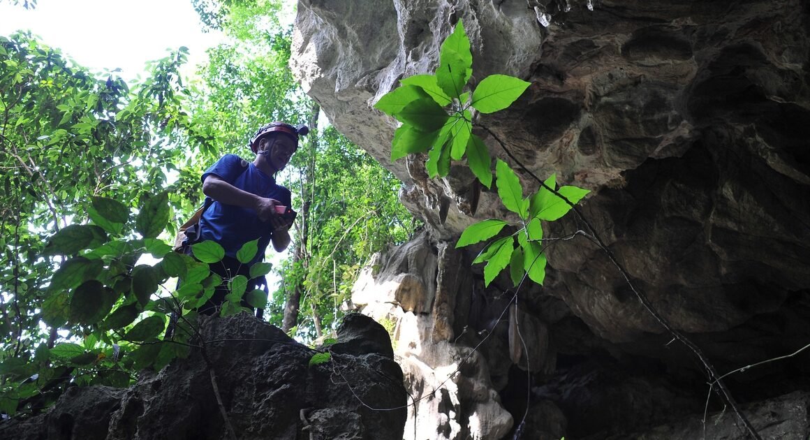 KHÁM PHÁ HUYỀN THOẠI HANG ĐỘNG VIỆT NAM VỚI HÀNH TRÌNH CÙNG HOWARD LIMBERT!