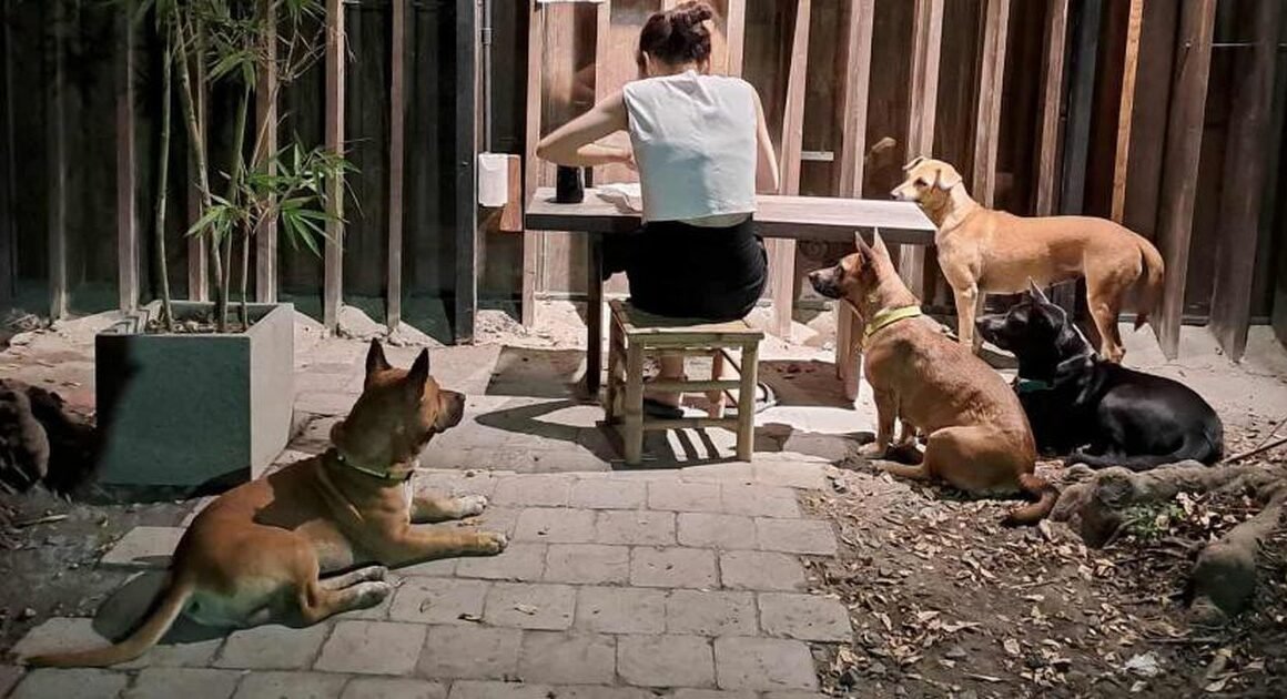 TẠI SAO NHỮNG NGƯỜI TRẺ GẮN BÓ VỚI GIA ĐÌNH VẪN CHỌN SỐNG ĐỘC LẬP GIỮA THÀNH PHỐ?