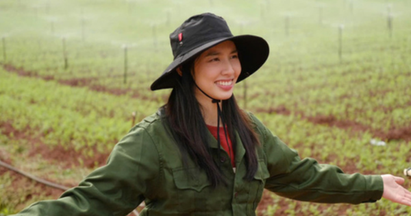 BỊ ẨN CHỨA BẤT NGỜ, CÔNG TY SEN VÀNG LẬP TỨC BUÔN HOÀN TOÀN VỤ VIỆC CỦA HOA HẬU THUỲ TIÊN!