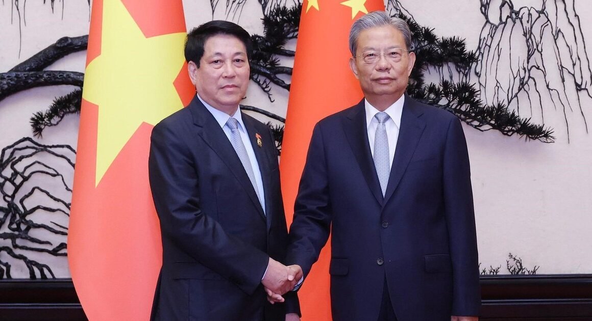 CHỦ TỊCH NƯỚC LƯƠNG CƯỜNG GẬP GU BỘ ĐIỆN ĐẠI HỢP TÁC CHIẾN LƯỢC VỚI TRUNG QUỐC TRONG NGÀY LỄ KỶ NIỆM 80 NĂM CHIẾN THẮNG PHÁT XÍT