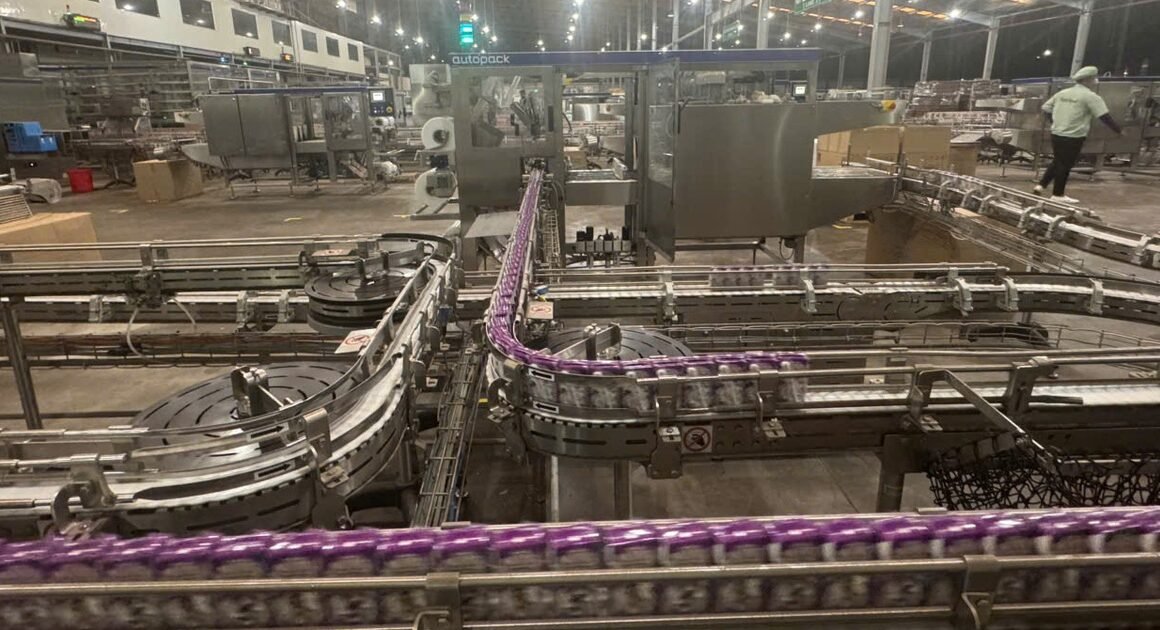 KHẢ NĂNG TRỒNG NGUỒN NGUYÊN LIỆU SỮA TƯƠI GIA LAI ĐANG ĐƯỢC ĐẨY MẠNH, TẠO NÊN BƯỚC ĐỘT PHÁ CHO NGÀNH SỮA VIỆT NAM!