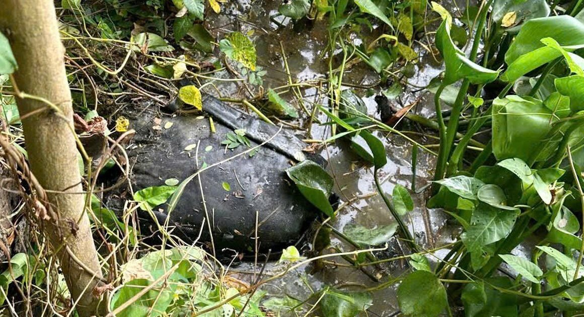 NGHI PHẠM THÚ NHẬN GIẾT NGƯỜI PHỤ NỮ VÀ ĐI UXUỐNG HƠN 70 KM ĐỂ PHÁN XÁC, VÌ MÂU THUẪN TÌNH CẢM