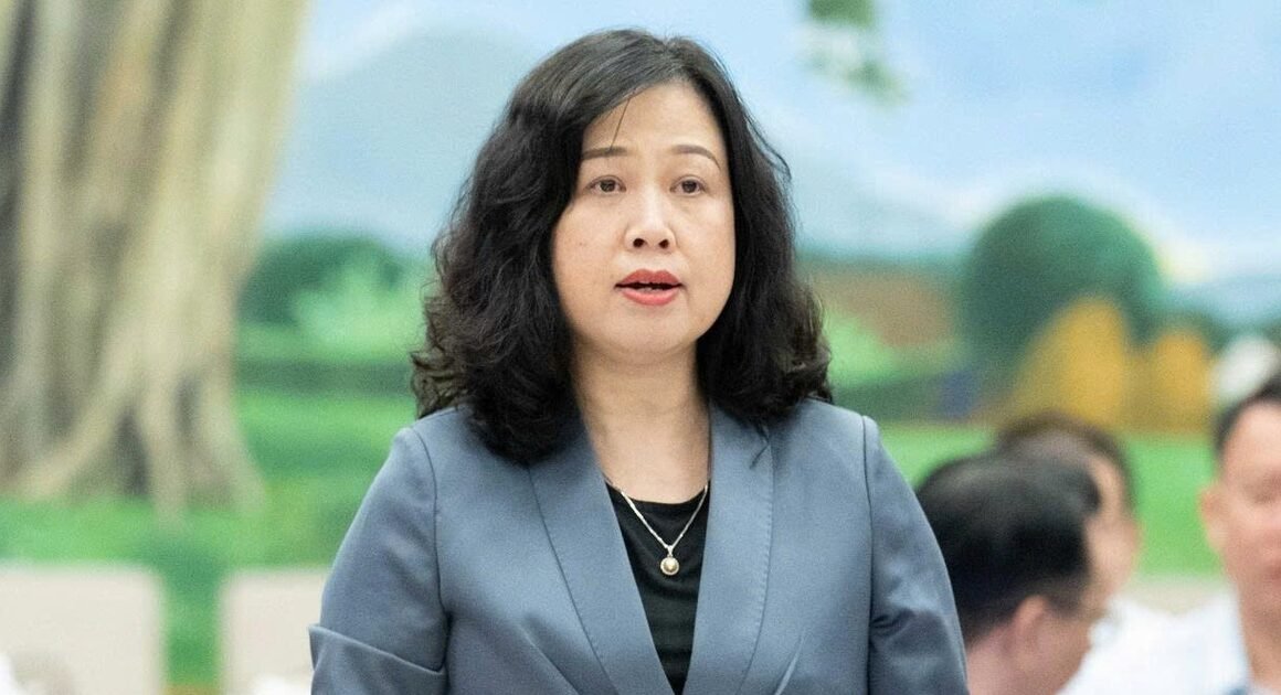 DỰ THẢO LUẬT DÂN SỐ ĐỀ XUẤT HỖ TRỢ, HƯỞNG ƯU ĐIỂM GÌ KHI SINH CON THỨ 2?