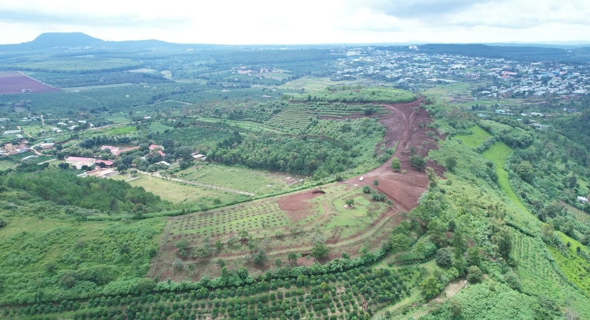 YÊU CẦU NGỪNG SAN ỦI TRÁI PHÉP TRÊN ĐỈNH NÚI CHƯ A: KHU VỰC DIỄN TẬP QUÂN SỰ CÓ TIỀM ẨN ĐẰNG SAU HÀNH ĐỘNG CỦA PHẠM VÂN ĐÀI?