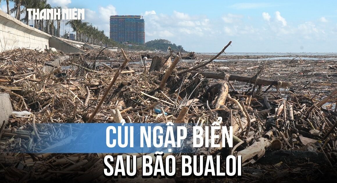 BÃO SỐ 10 ĐỔ VÀO, BÃI BIỂN THANH HÓA NGẬP RÁC VÀ CỦI, BẠN ĐÃ BIẾT TÌNH HÌNH CHƯA?