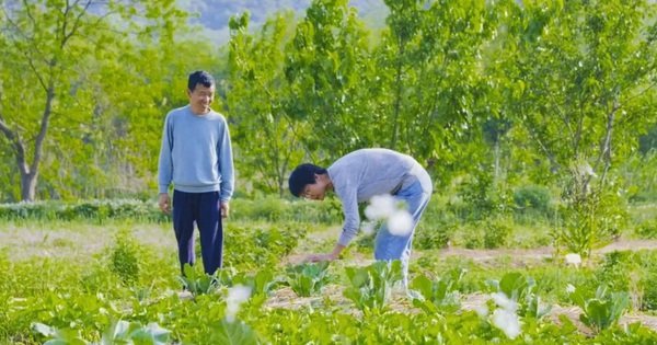 TỪ TỪNG GIỜ TÍNH LỢI NHUỆN ĐẾN VIỆC ĐẾM HOA CÚC NỞ VÀ TRỨNG GÀ ĐẺ, CHUYỂN ĐỔI ĐỂ ĐỜI BỪNG BỚT ÁP LỰC