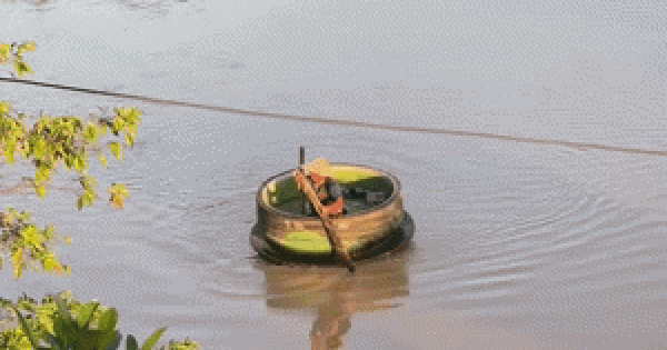 OÀNH NHÀM 3 CHÉN TRÀ MẤT TÍCH GIỮA DÒNG NƯỚC LŨ THÁI NGUYÊN, DÂN MẠNG ĐÊU RẦN RẦN TÌM KIẾM!