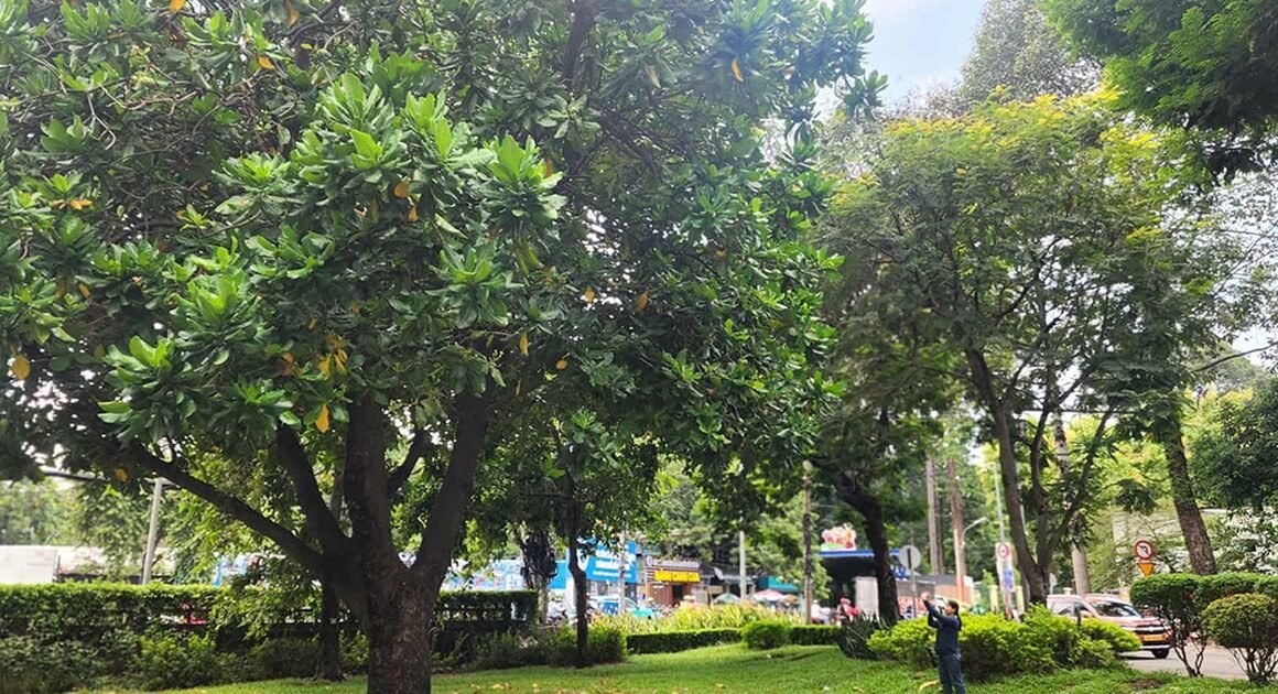 KHÁM PHÁ NHỮNG CÂU CHUYỆN BẤT NGỜ ĐẰNG SAU CÁC ĐỊA ĐIỂM ĐẶC BIỆT TỪ ĐỒNG VÀNG ĐẾN THÀNH PHỐ SÔI ĐỘNG