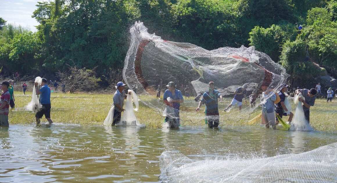 KHI THỦY ĐIỆN TRỊ AN ĐÓNG CỬA, CẢ TRĂM NGƯỜI ĐỔ XA TẮN BẮT CÁ HÀNG LOẠT ĐỘC ĐÁO!