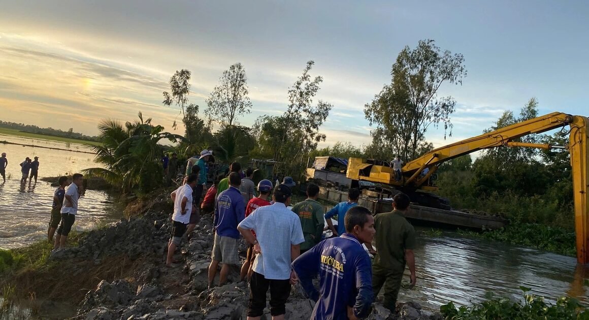 NƯỚC LŨ GIĂM THIÊU VỤ MÙA VÀNG TRÊN VÙNG ĐẦU NGUỒN SÔNG VÀM CỎ!