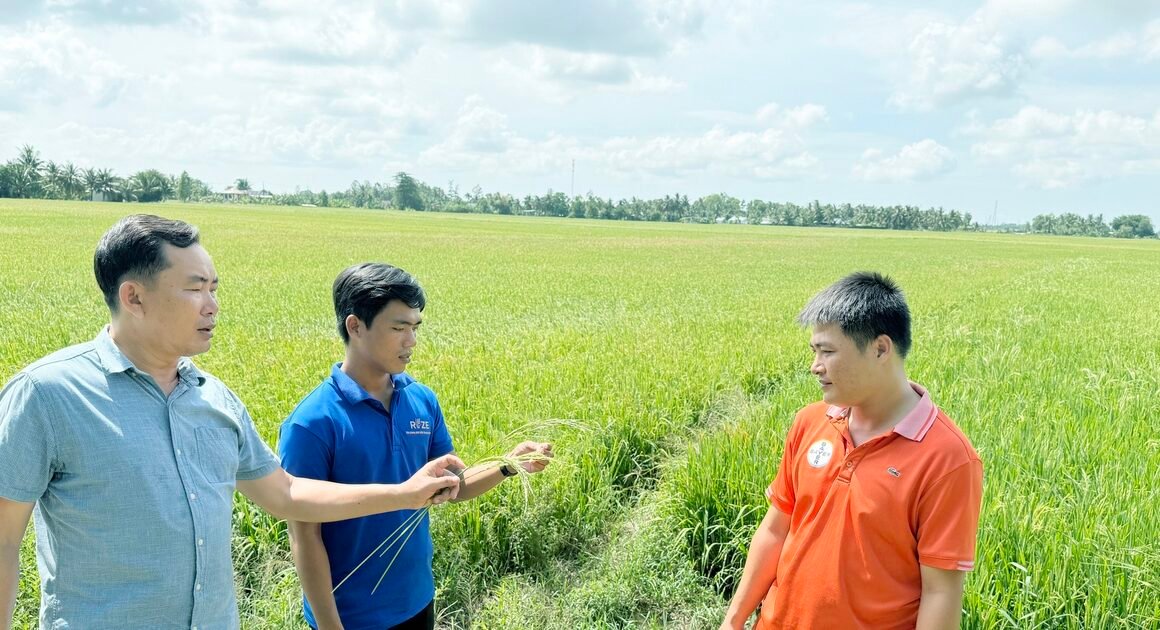 TỪ BỎ THÓI QUEN SẢN XUẤT NHỎ LẺ, HÀNG TRĂM HỘ Ở MIỀN TÂY THU HÚT THU NHẬP KHẢM KHÁ, XÂY NHÀ CANG ĐẢM