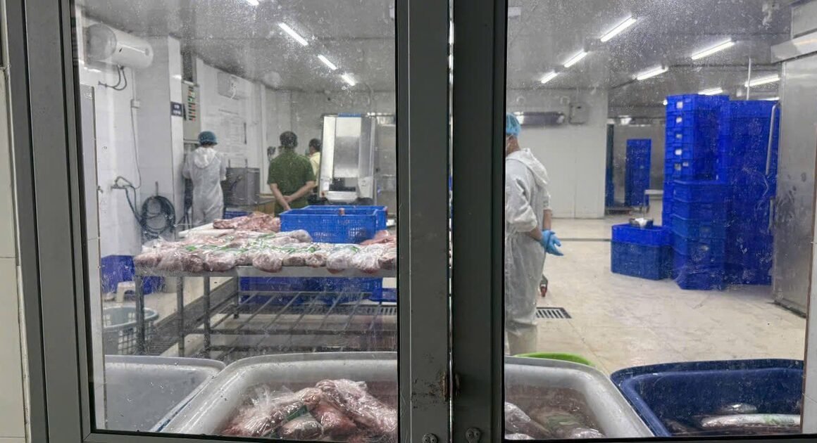 BÁN THỊT BỊ PHA TRỘN NHÂN TẠO, HIDA BIẾN THỊT TRÂU THÀNH BÒ WAGYU GIÁ KHỦNG