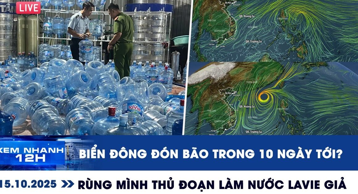 KHÁM PHÁ NHỮNG BẢN TIN NÓNG HỨNG NHẤT TRONG NGÀY, TỪ CHIẾC NƯỚC LAVIE GIẢ ĐẾN BỊCH BÁO VỤ ÁN SHARK BÌNH!