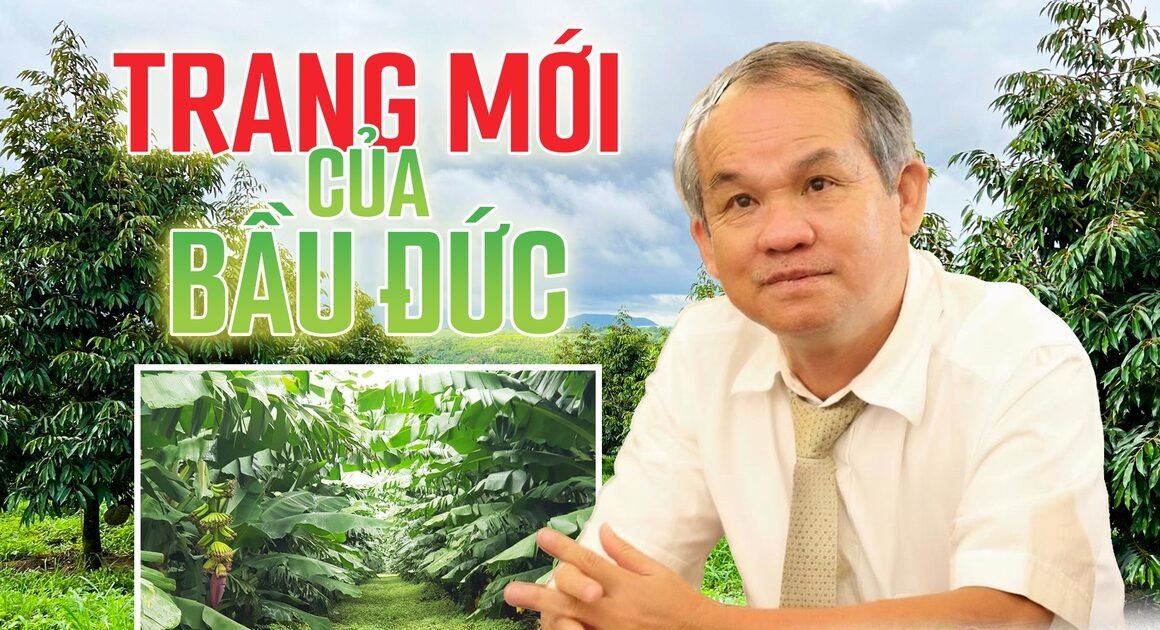 BÀU ĐỨC VƯƠN TẦM MỚI SAU NHỮNG THÁCH THÁCH CÙNG HOÀNG ANH GIA LAI, ĐÍCH THỰC ĐÃ TỪNG CẢM NHẬN?
