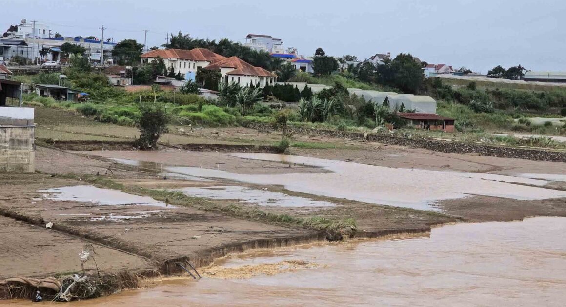 LŨ LỊCH SỬ GIÁN XÁC HẬU, NÔNG DÂN ĐƠN DƯƠNG CHƯA THỂ TRỞ LẠI NHỊP SẢN XUẤT BÌNH THƯỜNG!