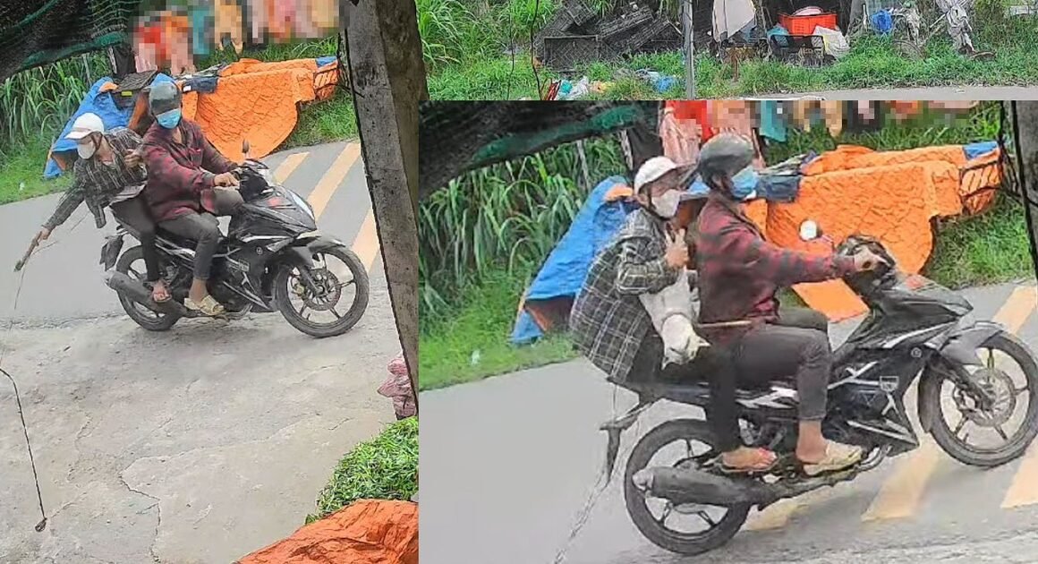TRỘM CHÓ MÈO BỊ SÓNG NGƯỜI CHỤP LẠI: DƯỜNG NHẬN RA ĐỀU CÓ SÚNG ĐIỆN TỰ CHẾ, CHỐNG TRẢ KHI BỊ PHÁT HIỆN!
