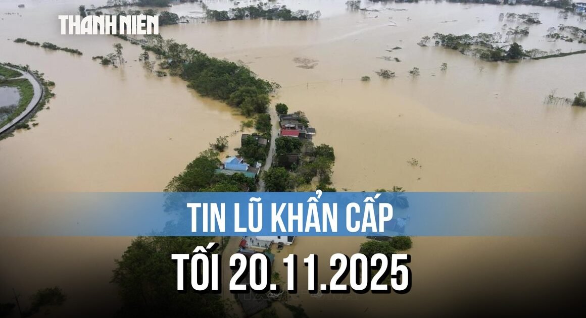 LŨ TRÊN SÔNG DINH VÀ CÁC SÔNG KHÁC ĐANG ĐỔI CHIỀU, CỤ THỂ NÀO ĐANG CHỐT ĐÁN ?