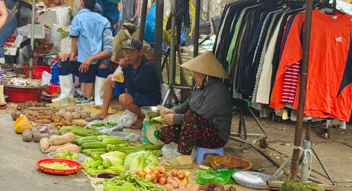 GAO CẤP GIÁ RAU CỦ Ở TP.HCM, LIÊN QUAN ĐẾN NỖI LO VỀ TỒN LẠI TỪ MƯA LŨ VÀ TRIỀU CƯƠNG!