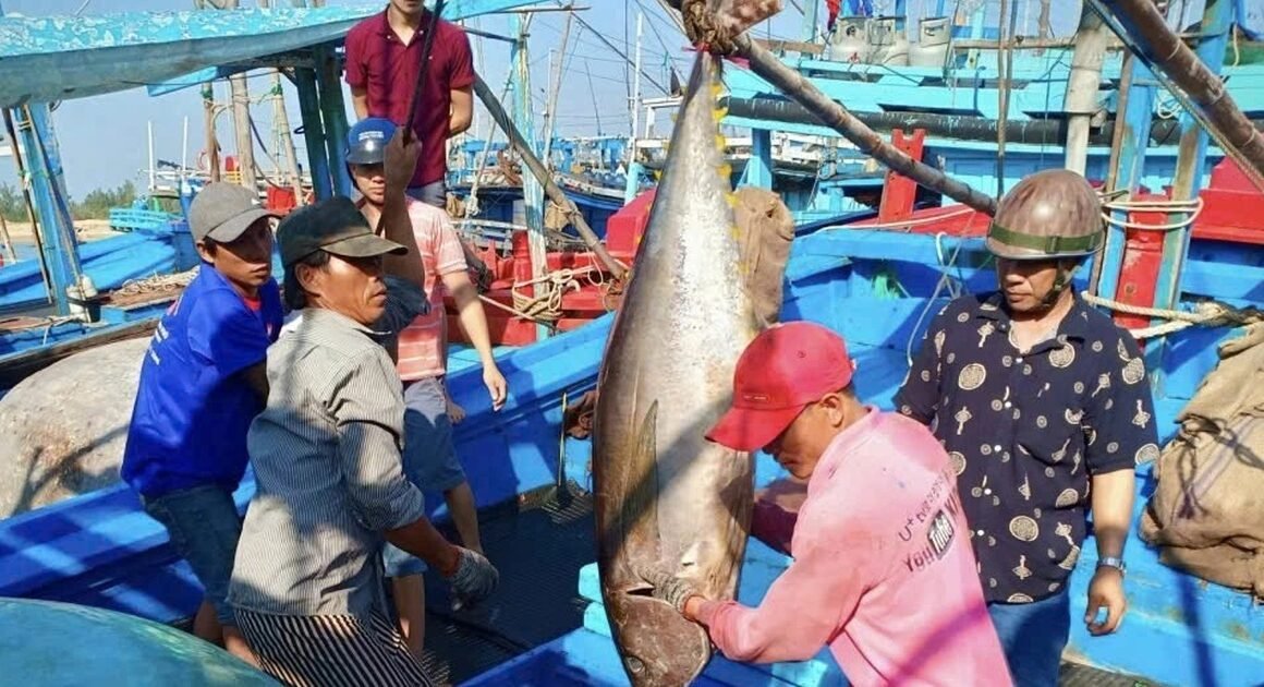 XU HƯỚNG TĂNG TRƯỞNG XUẤT KHẨU NÔNG, LÂM, THỦY SẢN: CƠ HỘI HAY NGUY CƠ ĐẾN TỪ VIỆC TRỞ THÀNH ĐỐI TÁC VẬT LIỆU CỦA NHIỀU QUỐC GIA?