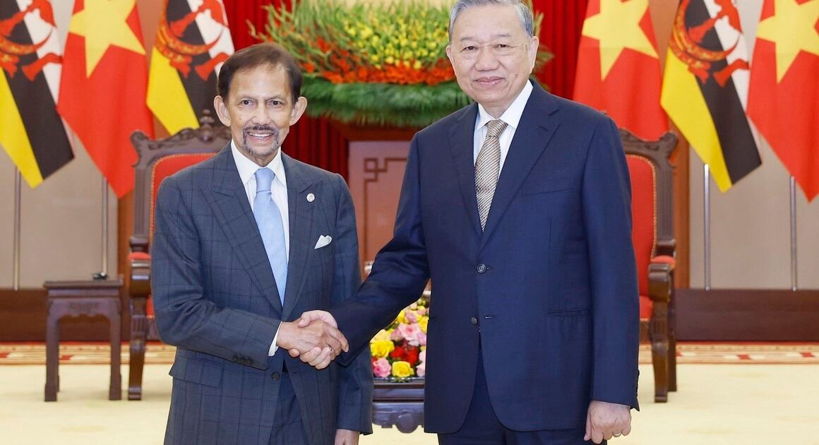 TỔNG BÍ THƯ TÔ LÂM TIẾP QUỐC VƯƠNG BRUNEI HỎI VỀ NHỮNG BỨC TRANH HỢP TÁC ĐẶC BIỆT NGOÀI ĐỜI.