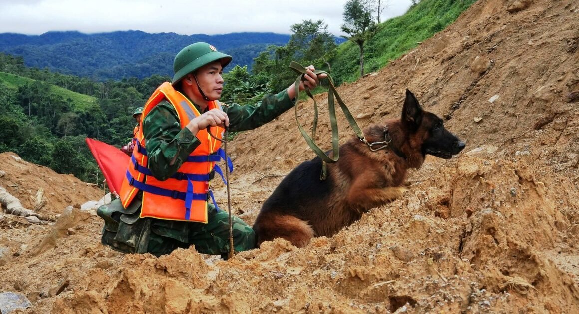 NHỮNG CHÚ CHÓ NGHIỆP VỤ ĐƯỢC ĐẶC CẤP MÊHAY NHƯ THẦN KHÍCH ĐỂ TÌM KIẾM NGƯỜI MẤT TÍCH GIỮA MÙA SÔI SỤP NÚI