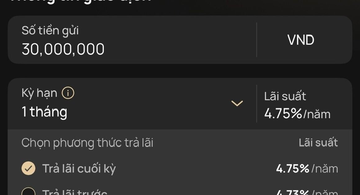 TẠI SAO LẠI CÓ SỰ KHÁC BIỆT ĐỘC ĐÁO GIỮA LÃI SUẤT TIẾT KIỆM VÀ LÃI HẠN HUY ĐỘNG?