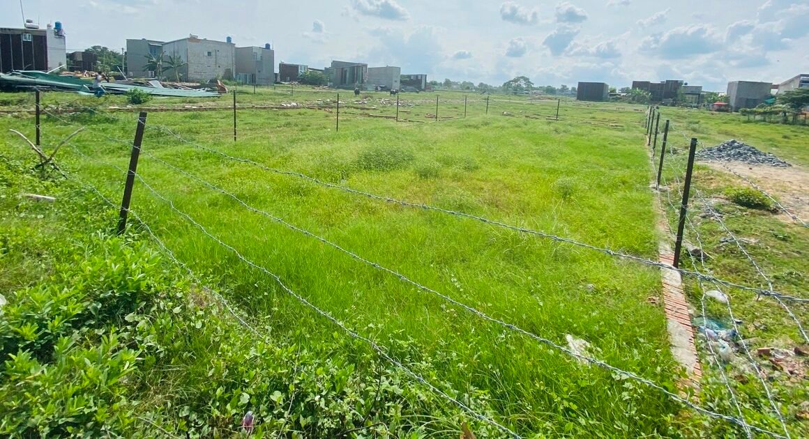 bảng giá đất nông nghiệp thấp gây tranh cãi: ai sẽ chịu thiệt khi chuyển đổi mục đích sử dụng?