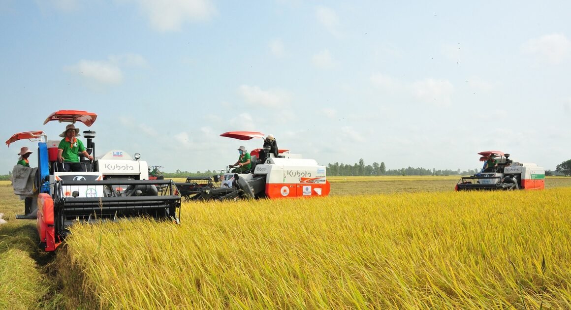 HẠT GẠO VIỆT NAM TIẾP TỤC CHUẨN BỊ GHI DẤU VỚI GIẢI “NGON NHẤT THẾ GIỚI” VÀ HƯỚNG ĐẾN MÀU XANH SỐNG ĐỘNG HƠN BAO GIỜ HƠN