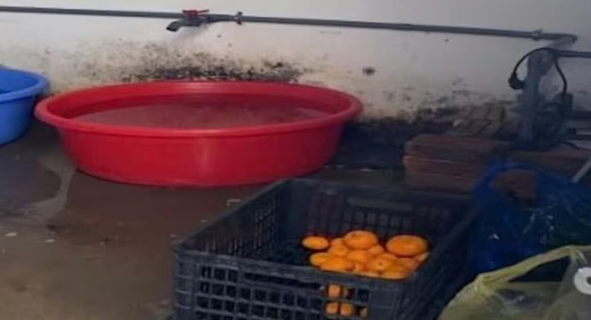 KHẨN CẤP: Cơ Sở Cung Cấp Suất Ăn Trường Học Ở MỸ ĐỨC BỊ PHÁT HIỆN HÀNG LOẠT VI PHẠM AN TOÀN THỰC PHẨM!