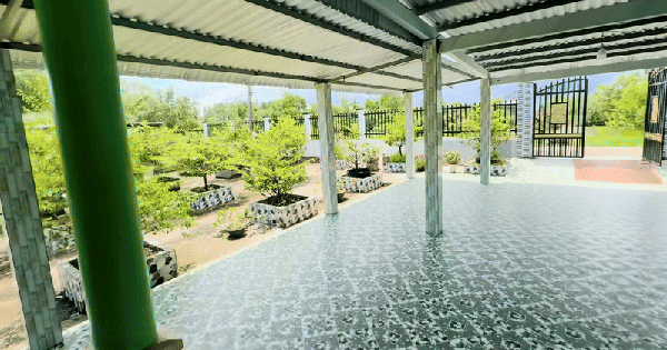 một đặc trưng miền tây khiến ai chưa quen nhìn dễ hoa măt chóng mặt—bạn có dám khám phá?