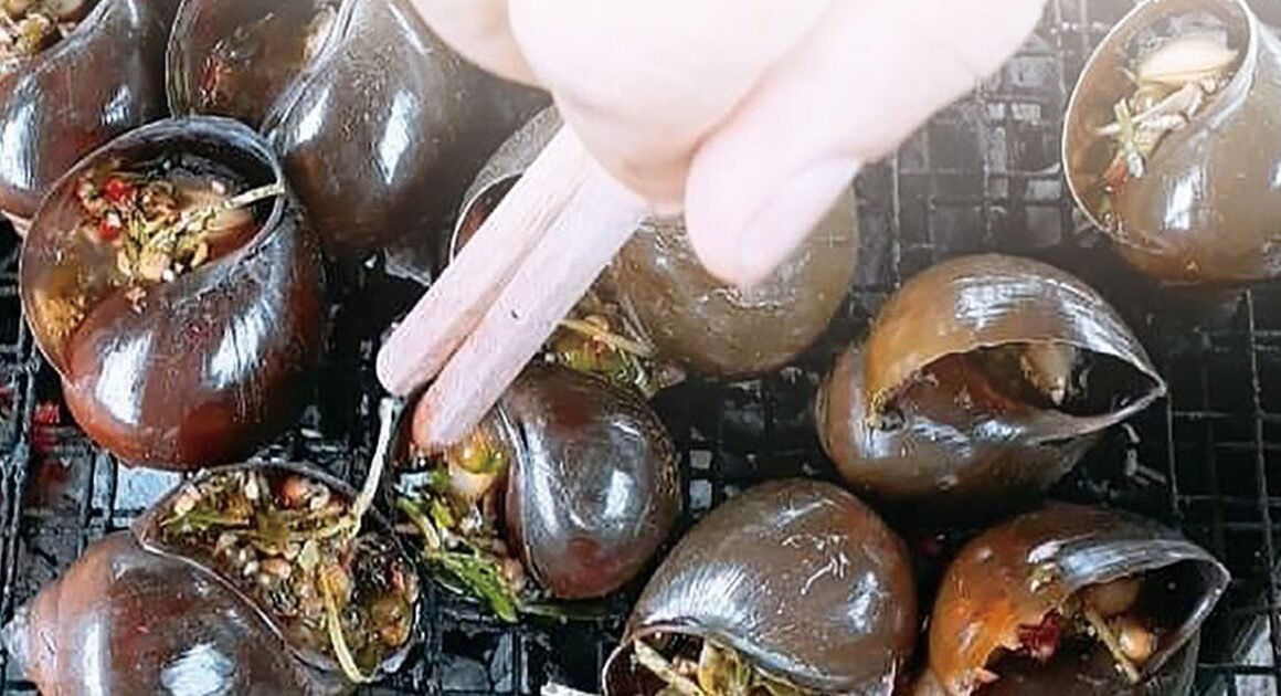 BỊ MẤT ĐI NHỮNG MÓN ĂN KỶ NIỆM, BẠN CÓ DÁM HẸN CHỜ ĐỂ NHẬN LẠI CHÚNG?