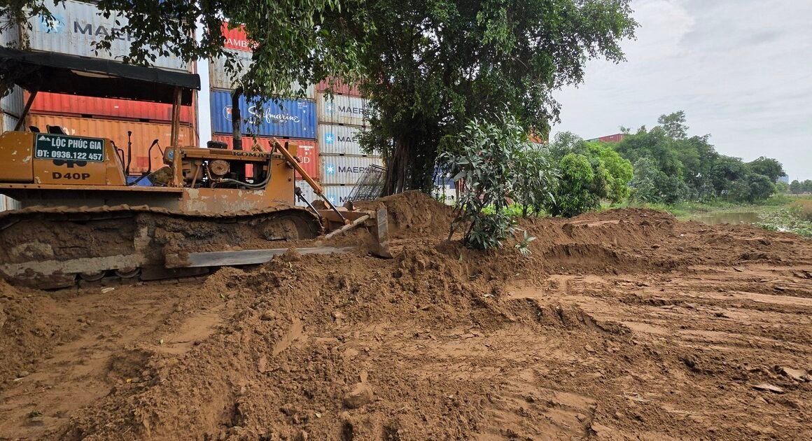 TẠI SAO NHỮNG CÔNG TRƯỜNG TRÁI PHÉP NÀY DARE SỐNG SÓT XA CANDYNG HƠN CẢ CƠ QUAN CHỨC NĂNG?