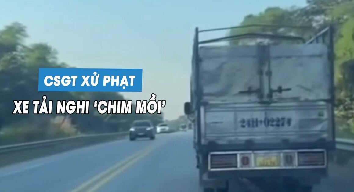 TÀI XẾ XE TẢI ĐI CHẬM TRÊN CAO TỐC BỊ PHẠT 5 TRIỆU, TRỪ 2 ĐIỂM VÌ ĐI VÀO LÀN DỪNG KHẨN!