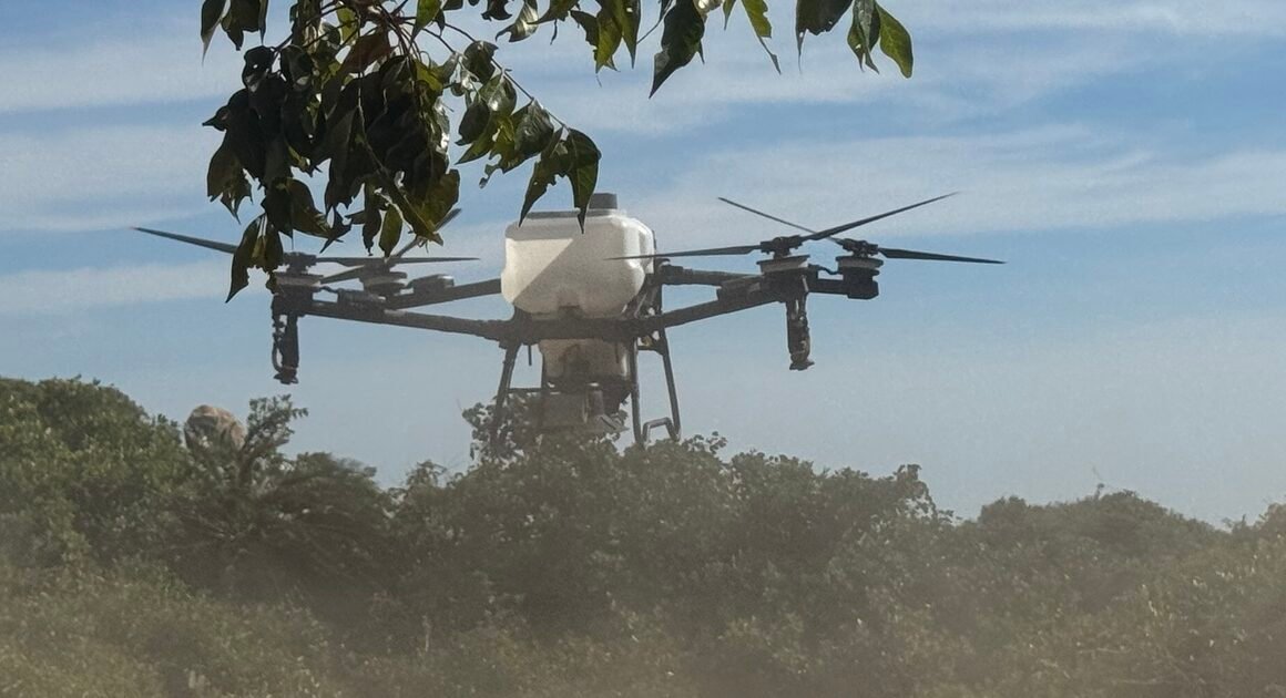 KHÁM PHÁ CÔNG NGHỆ MỚI GIEO HẠT GIỐNG RỪNG CÙNG OMO BẰNG BAY DJI NĂM 2024!