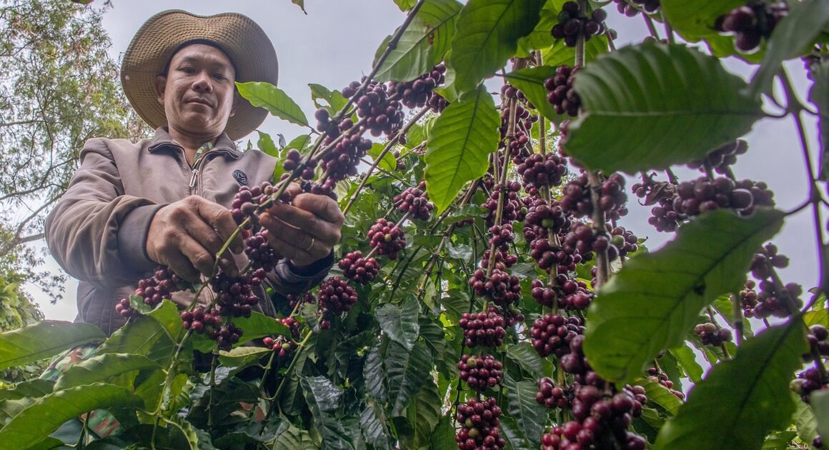 NÔNG SẢN VIỆT NAM VƯỢT MỐC 70 TỈ USD, BỘ TRƯỞNG CHÍNH PHỦ ĐỀ NGHỊ ĐỊNH MỚI, MỞ RA TƯƠNG LAI 100 TỈ USD!