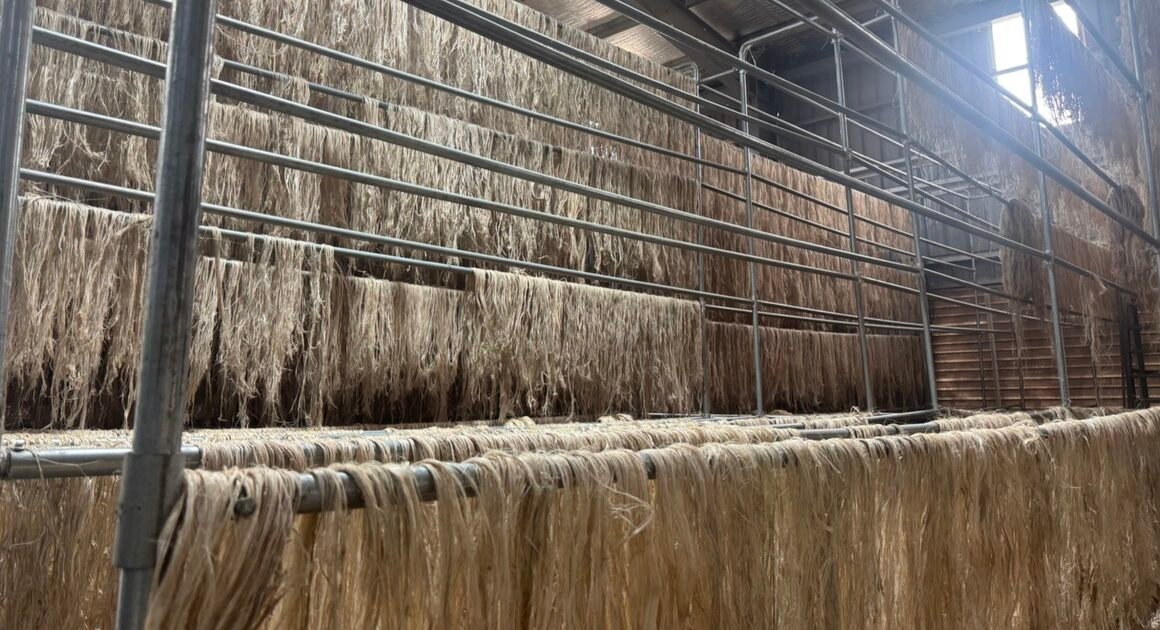 KHÓA HỌC XANH: MÔ HÌNH TRỒNG CHUỐI, NUÔI BÒ, NUÔI CÁ PHÁVỠ NHỜ PHẾ PHẨM, TẠO GIÁ TRỊ KHỦNG CHO CÔNG TY!