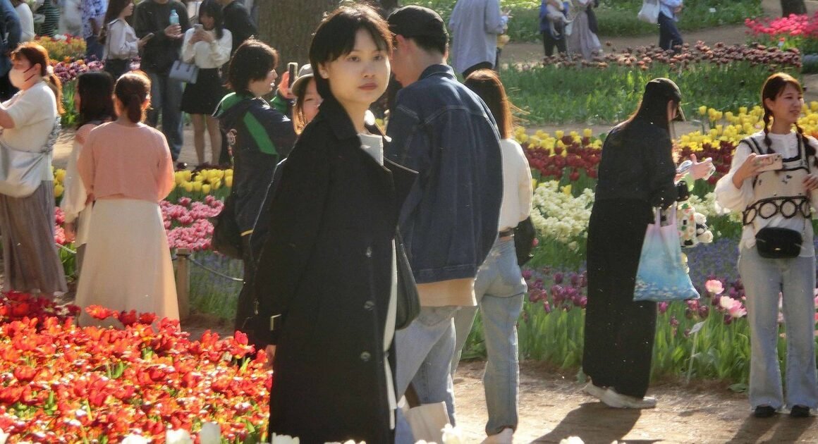 BẠN ĐÃ BIẾT CHUÔNG ĐÁNH ĐỂ BÁO ĐỘNG ĐỘNG ĐẤT TRONG CUỘC SỐNG Ở NHẬT BẢN CHƯA?